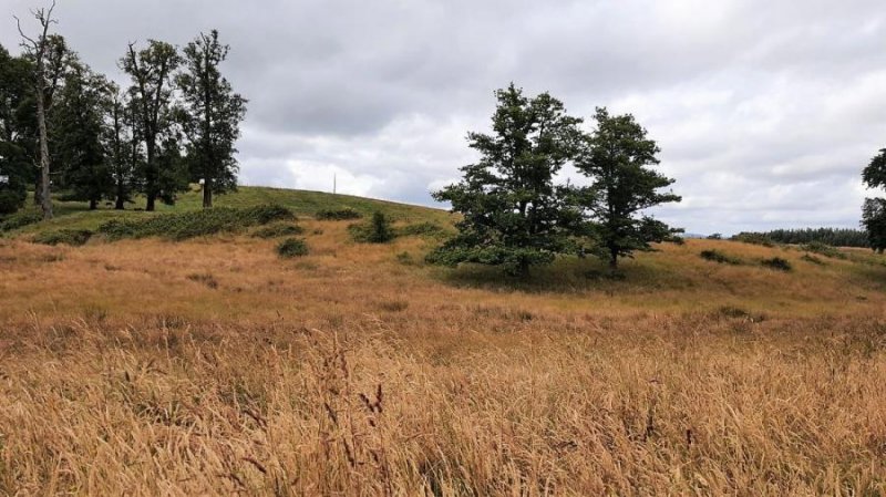 Agricola en Venta en  LLanquihue, Llanquihue