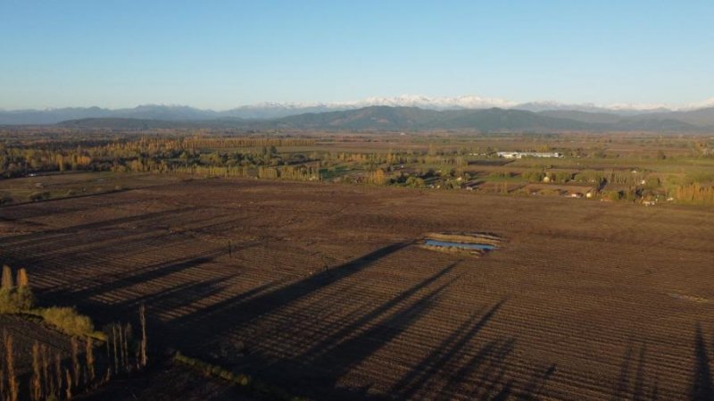 Foto Agricola en Venta en Longaví, Linares - 55 hectareas - $ 1.650.000.000 - AGV129484 - BienesOnLine