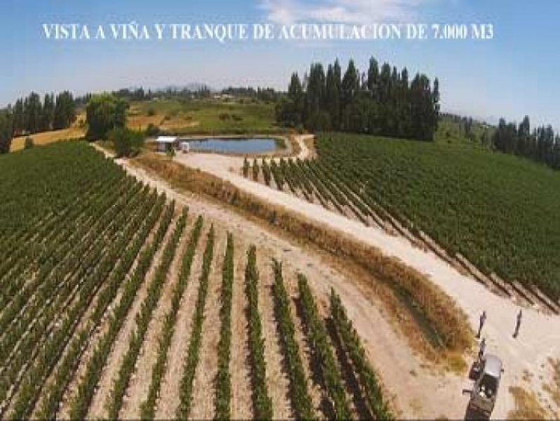 Foto Agricola en Venta en Peralillo, Colchagua - UFs 14.800 - AGV62417 - BienesOnLine