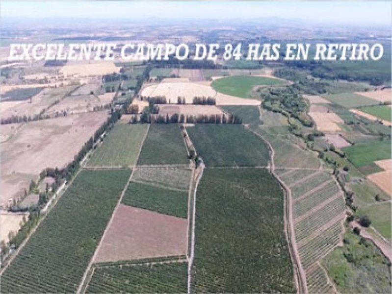 Foto Agricola en Venta en San Fernando, Colchagua - AGV62784 - BienesOnLine