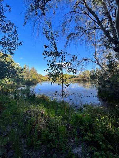 Parcela en Venta en rural Bulnes, Ñuble