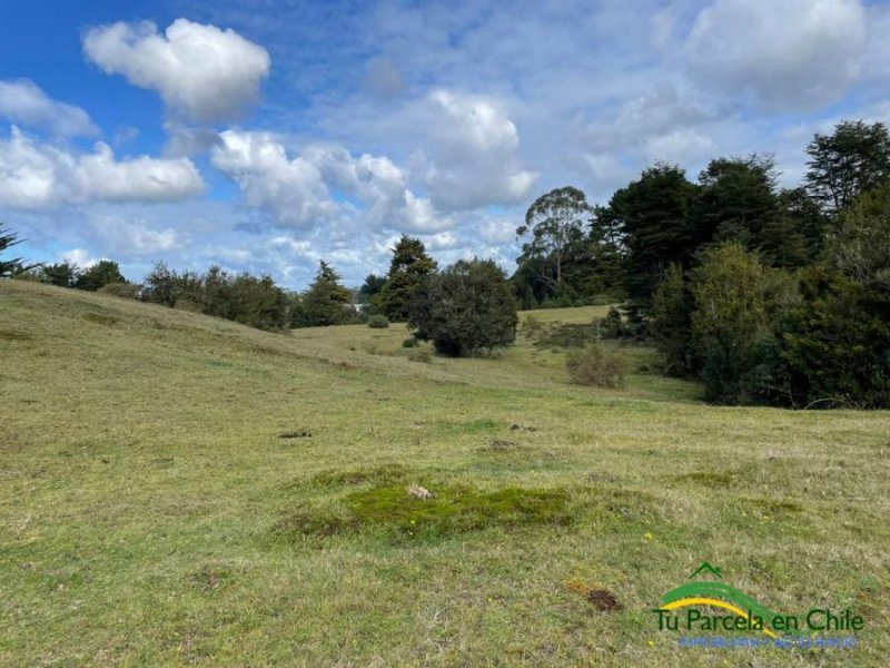 Parcela en Venta en  Puerto Montt, Llanquihue