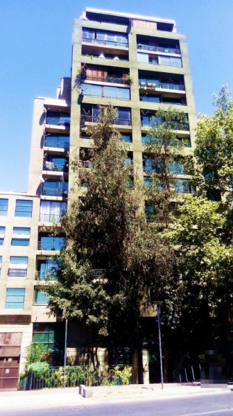 Foto Departamento en Venta en Santiago, Santiago - $ 82.000.000 - DEV87812 - BienesOnLine