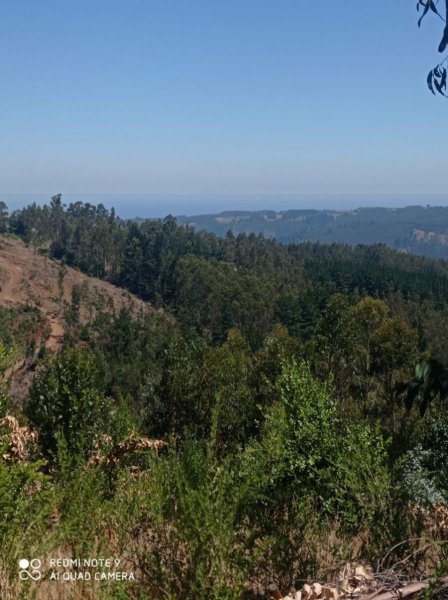 Parcela en Venta en EL CASTAÑO Cobquecura, Ñuble