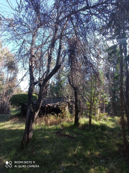 Terreno en Venta en EL TOYO Cobquecura, Ñuble