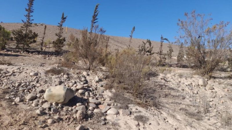 EN VENTA AMPLIA Y LINDA PARCELA EN VALLENAR, SECTOR EL JILGUERO