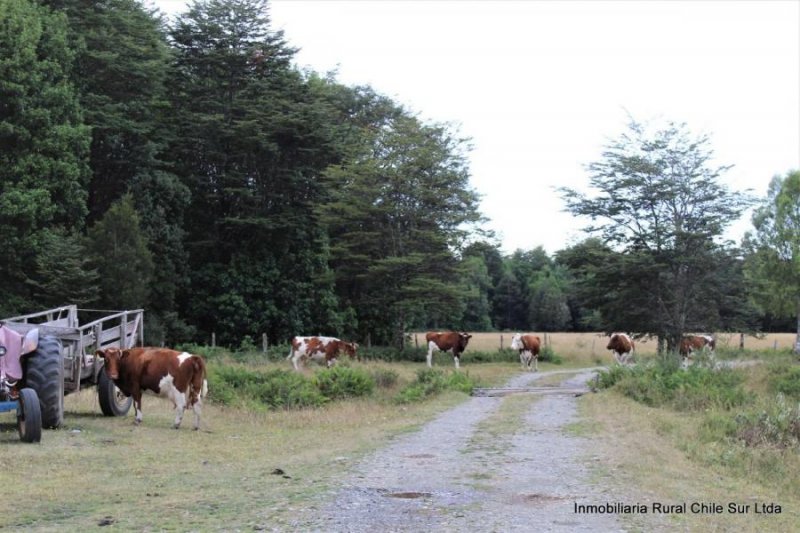 Agricola en Venta en  Puerto Montt, Llanquihue