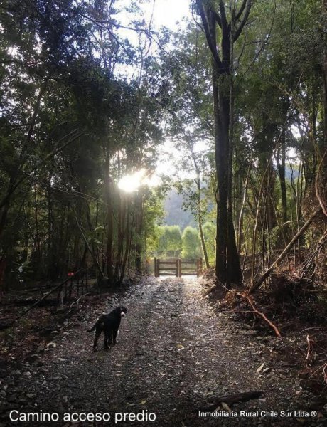 Terreno en Venta en Ralun Cayutue Puerto Varas, Llanquihue