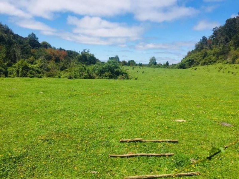 Parcela en Venta en Paraguay Grande Puerto Varas, Llanquihue