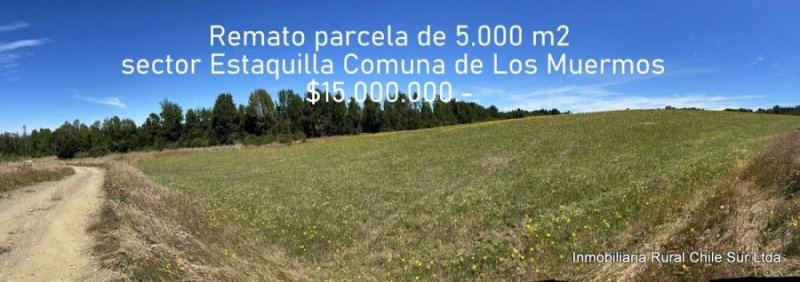 OFERTA En venta parcela de 5000 m² sector Estaquilla, Comuna de los Muermos, en el sur de Chile