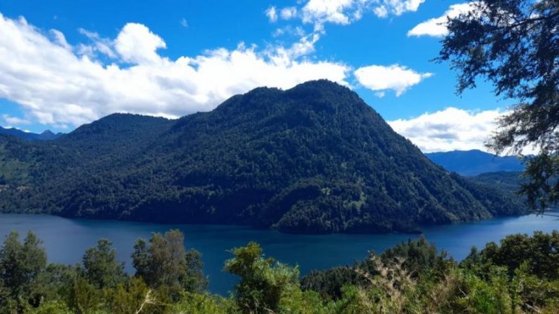 En venta parcela desde 5.000m2 en 2da linea Lago Maihue de la comuna de Lago Ranco sur de Chile