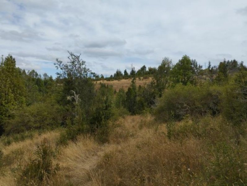 Terreno en Venta en Rural Los Muermos, Llanquihue