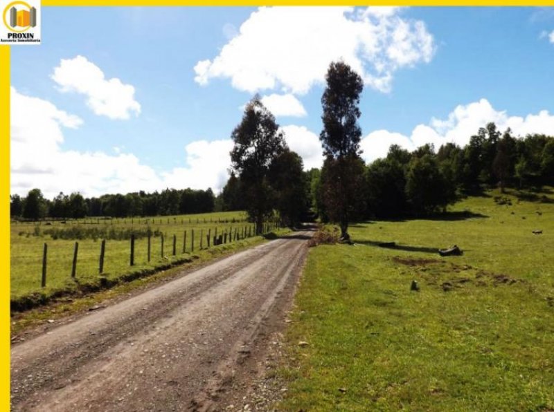 Foto Terreno en Venta en Villarrica, Cautin - $ 92.000.000 - TEV59806 - BienesOnLine