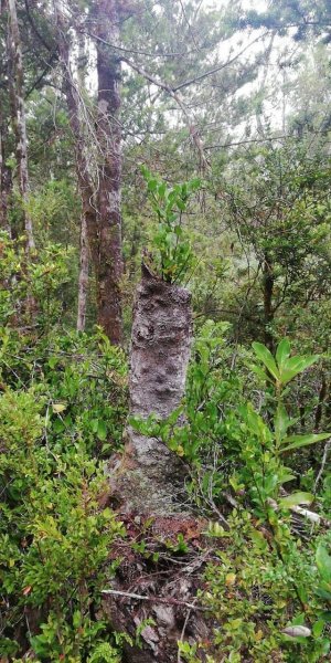 Terreno en Venta en Colaco Calbuco, Llanquihue