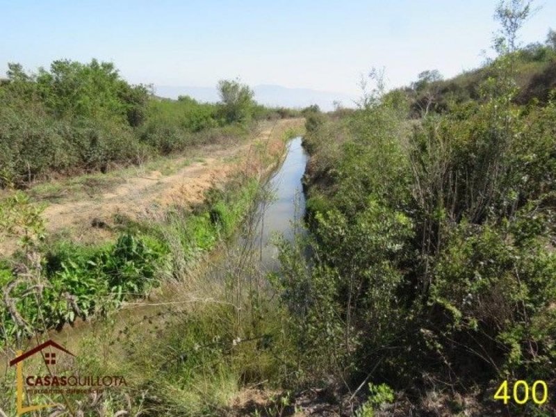 Excelente terreno agrícola!