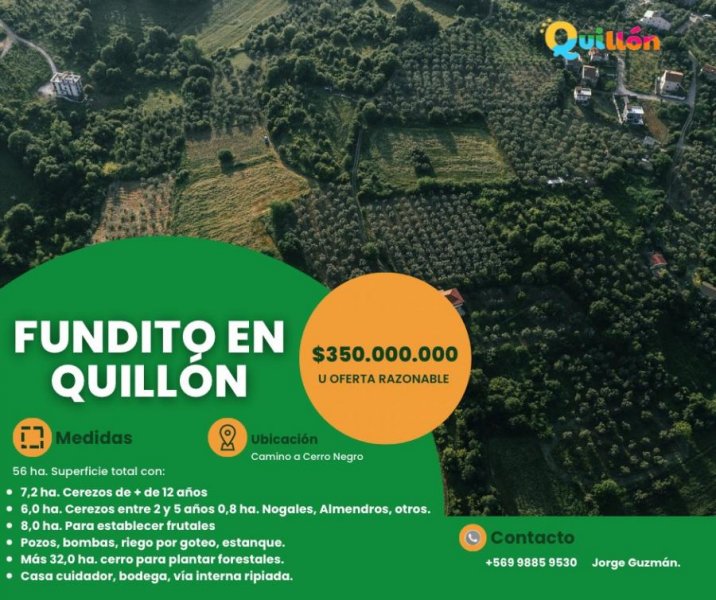 Terreno en Venta en  Quillón, Ñuble