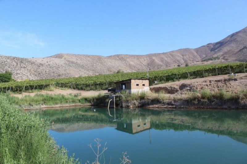 Agricola en Venta en  Miraflores, Elqui