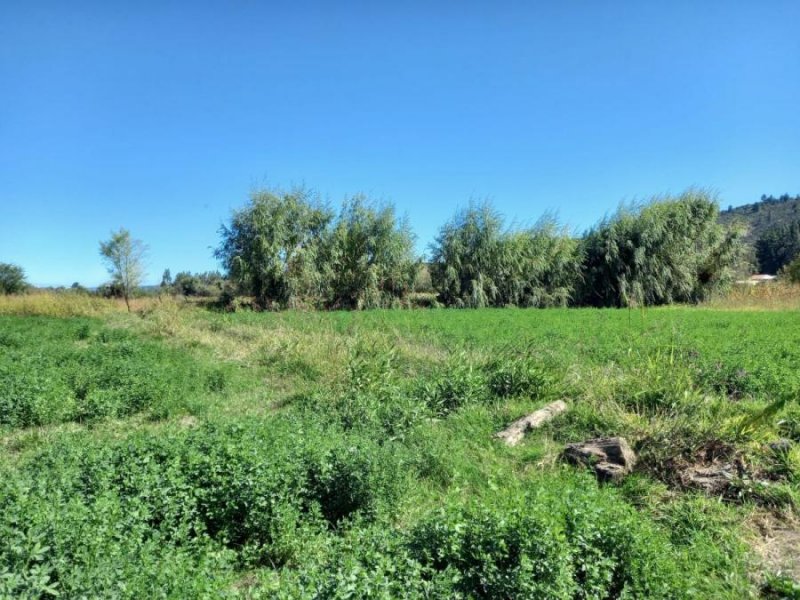 Terreno en Venta en  Licantén, Curicó