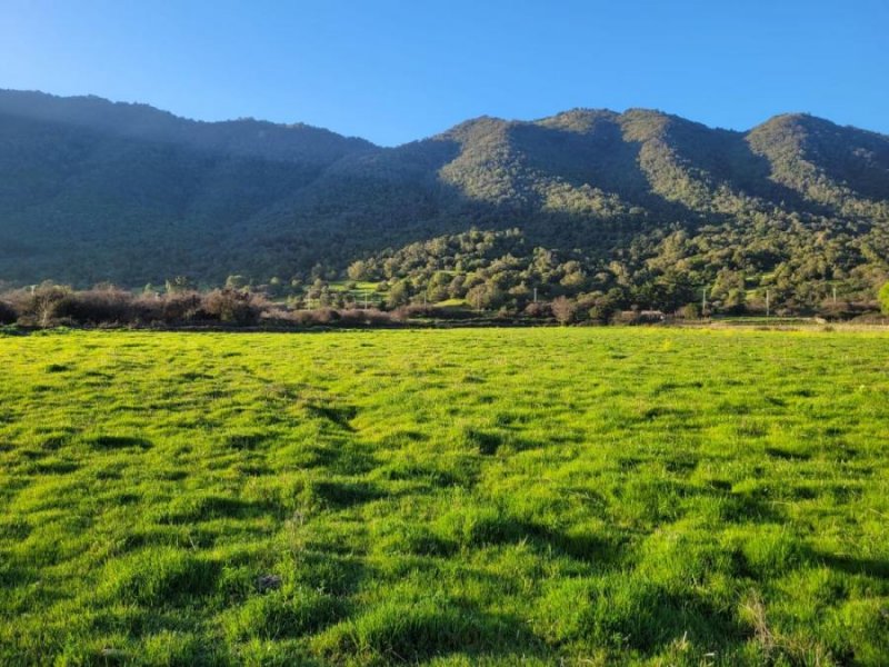 Terreno en Venta en  Rauco, Curicó