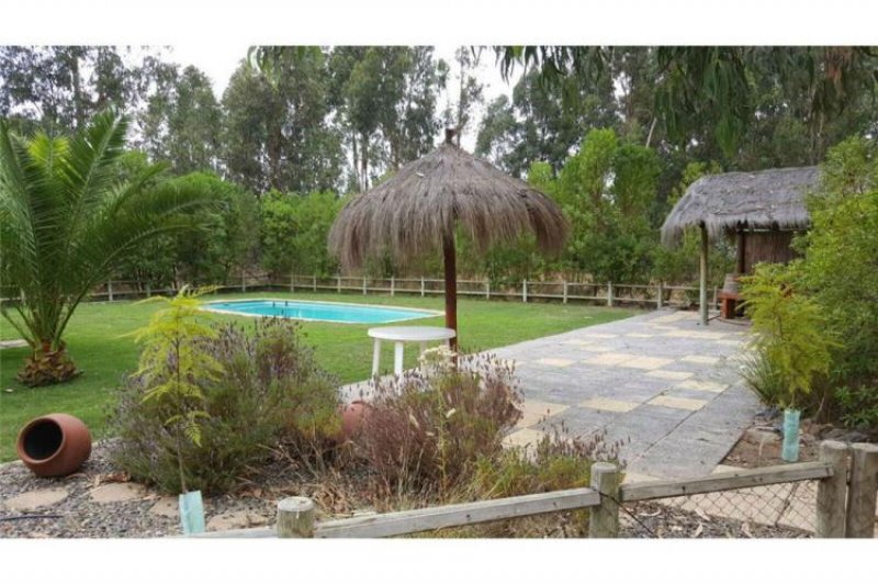 Foto Parcela en Venta en La Foresta, Maitencillo, Valparaiso - $ 150.000.000 - PAV56751 - BienesOnLine