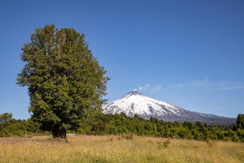 Parcela en Venta en  Villarrica, Cautin