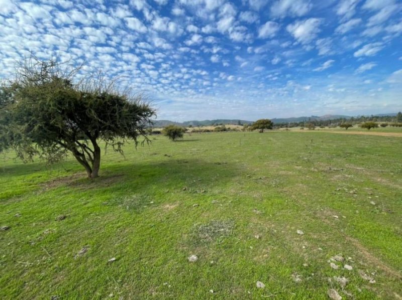 Parcela en Venta en  La Estrella, Cardenal Caro