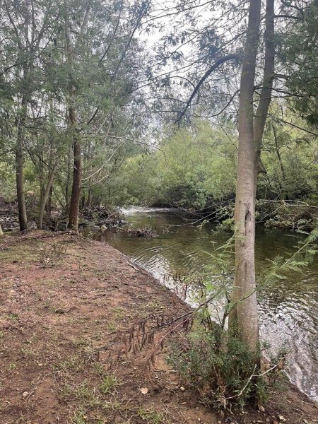 Parcela en Venta en  San Fabián, Ñuble