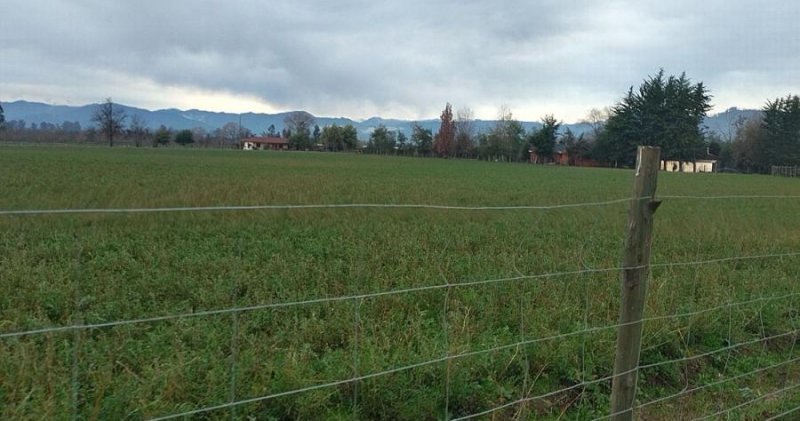 Agricola en Venta en rural San Clemente, Talca