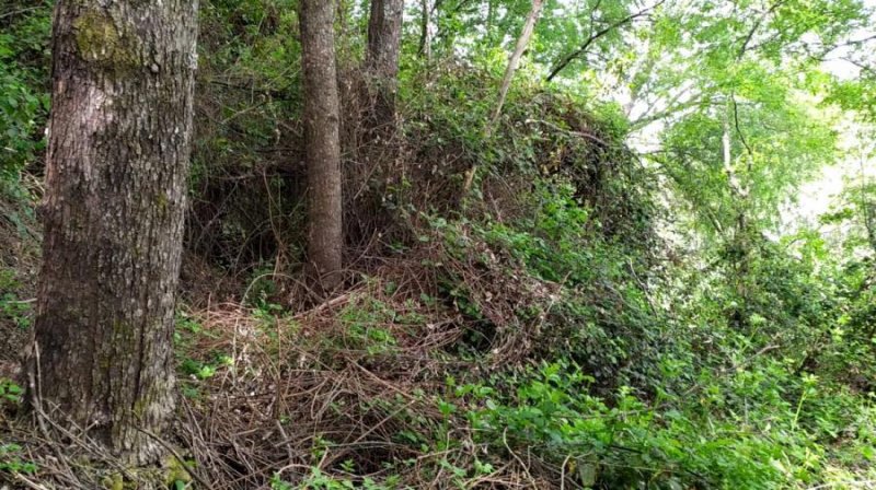 Terreno en Venta en  Molina, Curicó