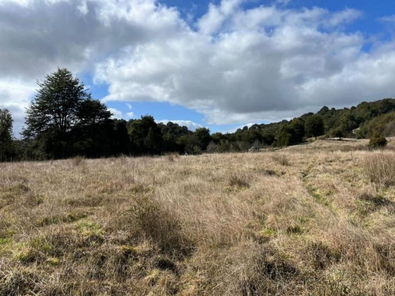 Parcela en Venta en  Los Muermos, Llanquihue