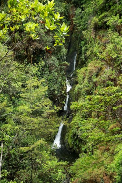 Parcela en Venta en Ralun Cayutue, Llanquihue