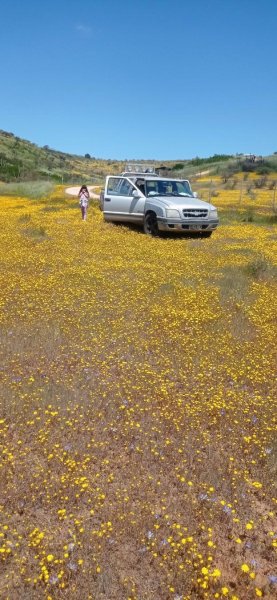 Hermosa parcela  litueche  el  cuzco. credito. directo