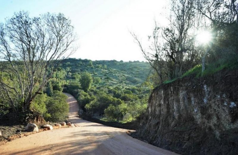 Terreno en Venta en  La Estrella, Cardenal Caro