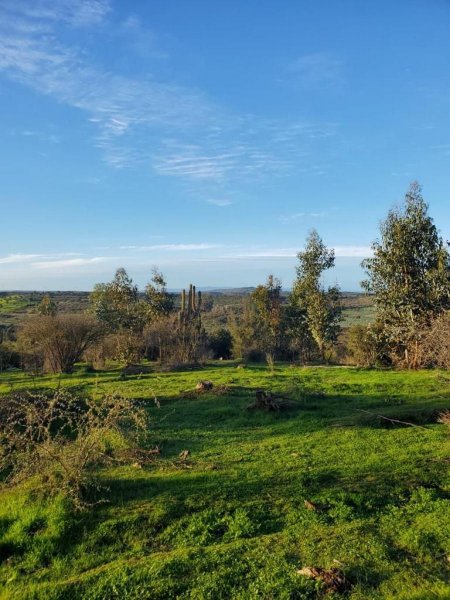 Terreno en Venta en  La Estrella, Cardenal Caro