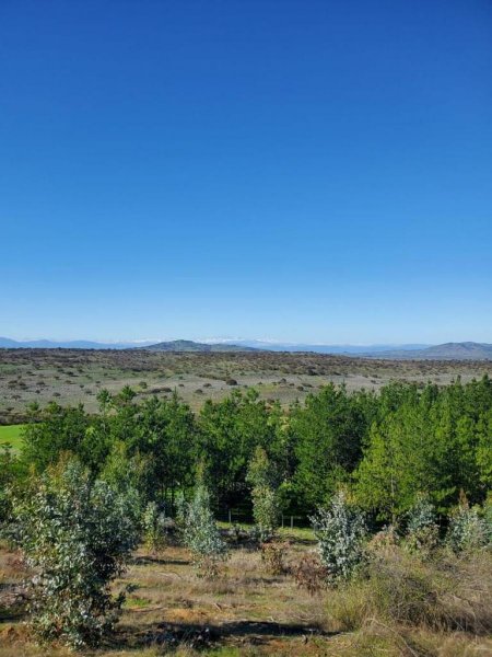 Terreno en Venta en  La Estrella, Cardenal Caro