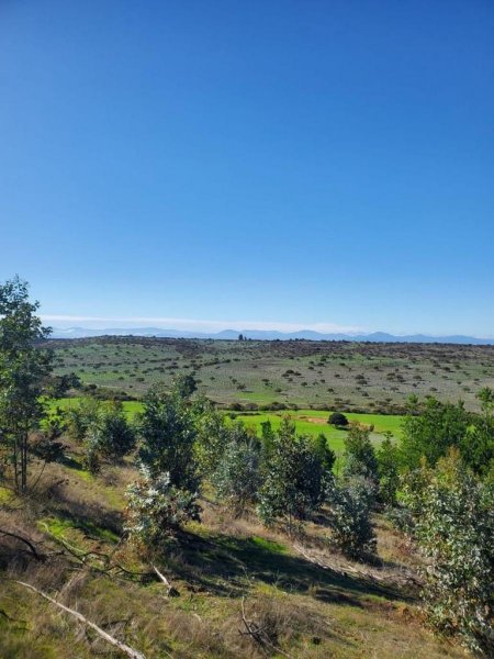 Terreno en Venta en  La Estrella, Cardenal Caro