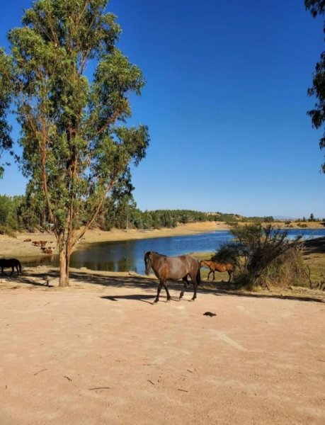 Terreno en Venta en  La Estrella, Cardenal Caro