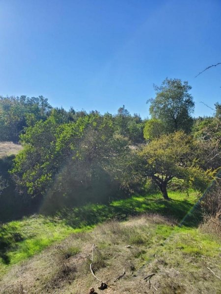 Terreno en Venta en  La Estrella, Cardenal Caro