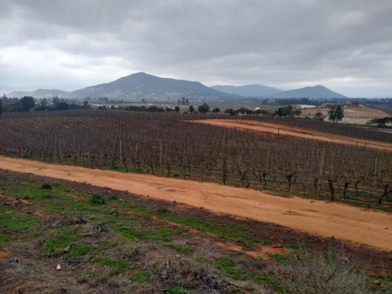 Hermosas parcelas Atalaya de Casablanca