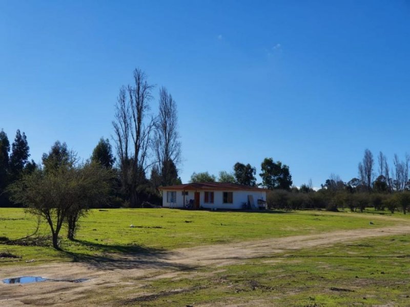 Foto Parcela en Venta en Marchihue, Cardenal Caro - $ 10.490.000 - PAV96181 - BienesOnLine