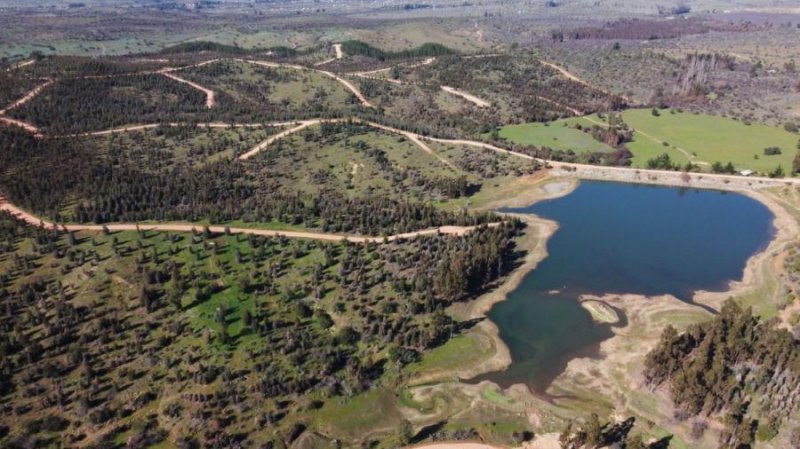 Parcela en Venta en  Litueche, Cardenal Caro