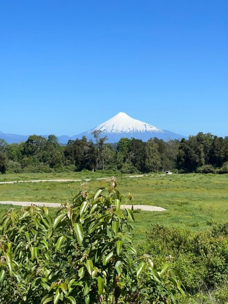 Parcela en Venta en  Puyehue, Osorno