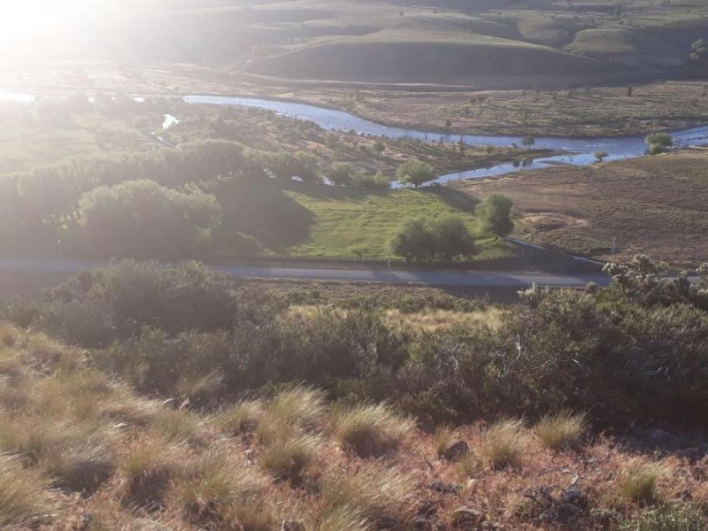 Hermoso campo cordilerano en lonquimay