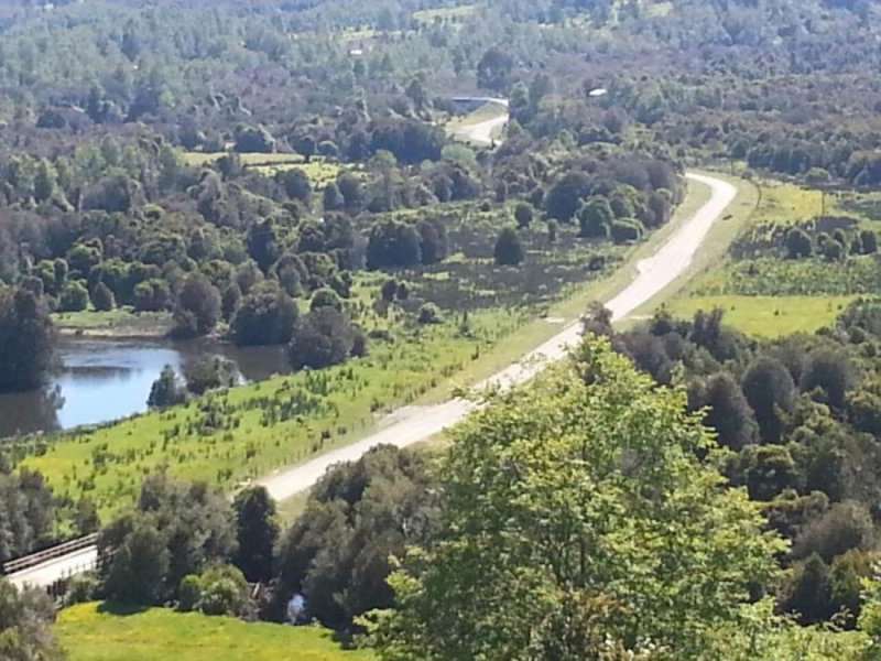 Agricola en Venta en  Fresia, Llanquihue