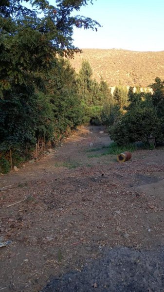 Agricola en Venta en  Catemu, San Felipe de Aconcagua