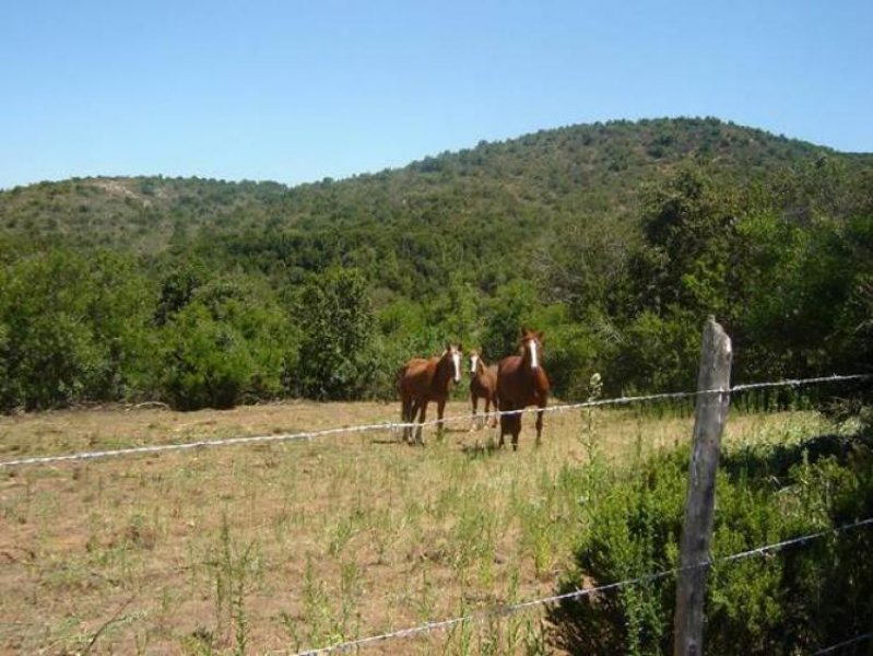 Foto Agricola en Venta en Colliguay, Quilpué, Valparaiso - 6400 hectareas - $ 2.147.483.647 - AGV16630 - BienesOnLine