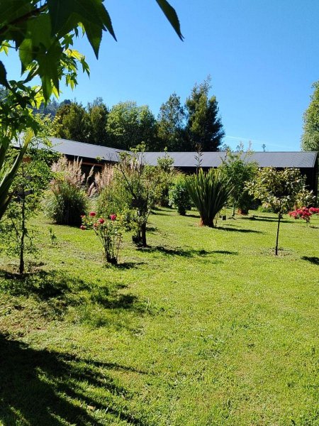 INVIERTE en HERMOSAS Parcelas de Bosque Nativo Camino a NONGUEN