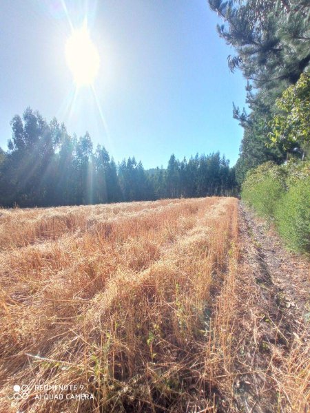 Parcela en Venta en LA ACHIRA Cobquecura, Ñuble