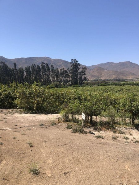 Parcela en Venta en La Calera Ruta 41, kilometro 30, Vicuña, Elqui