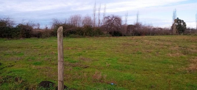 Agricola en Venta en Los Culenes Longaví, Linares